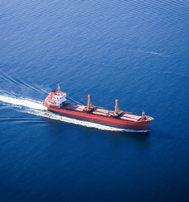 Flexible Chartering That Works for Your Cargo